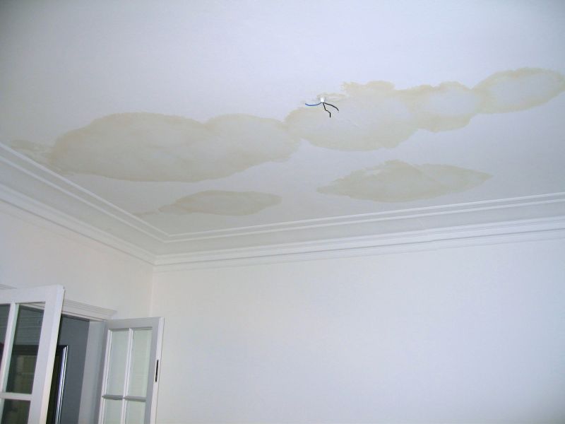 Water Damage Repair