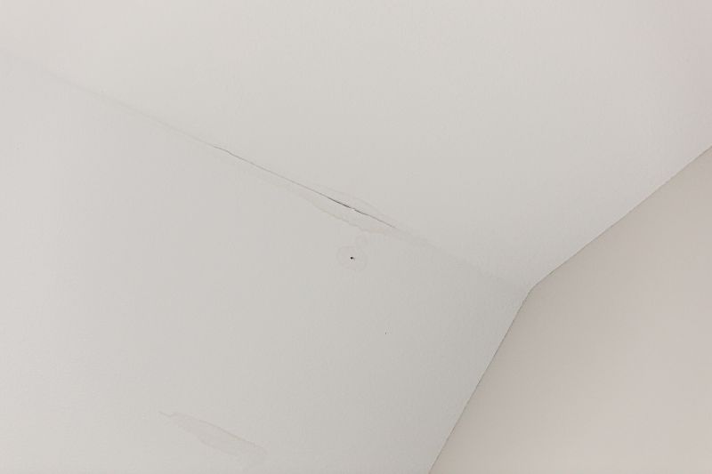 Damaged Ceiling Section