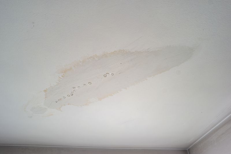 Specialized Ceiling Repair Specialists
